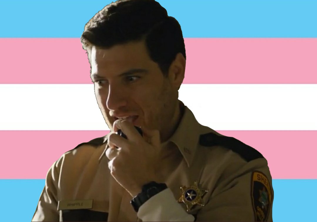 A picture of a man with brown facial hair with a trans flag in the background